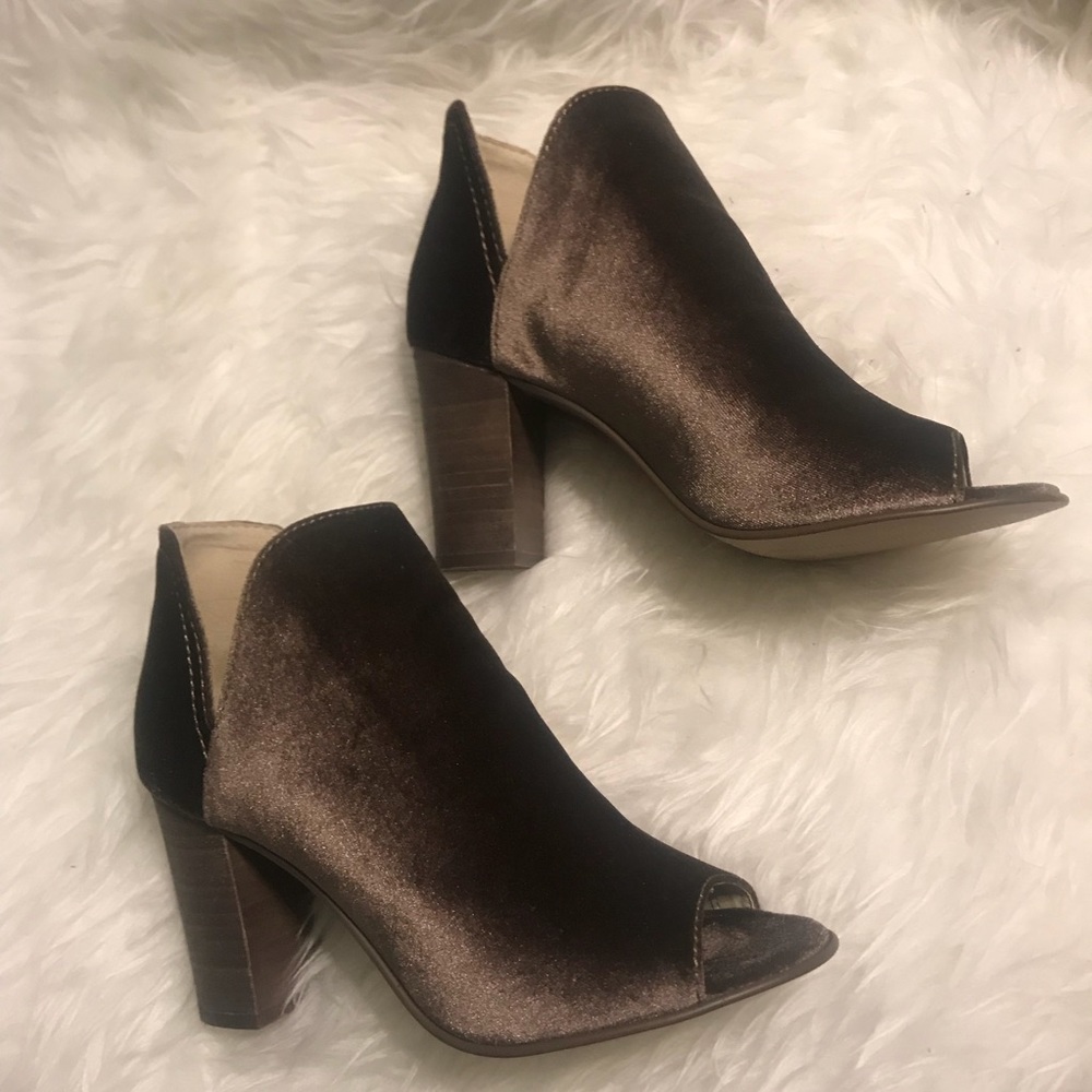 Steve Madden Kaitt Velvet Taupe Booties